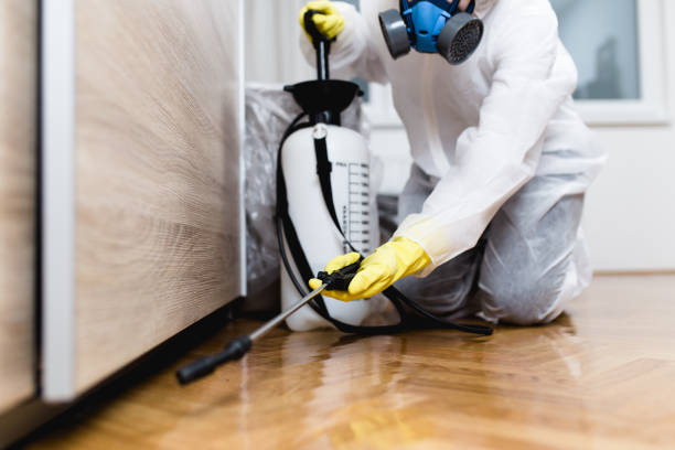 Best Residential Pest Control  in Ottawa, IL