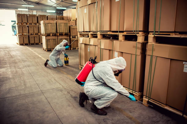 Best Mosquito Control Services  in Ottawa, IL