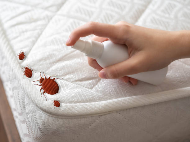 Professional Pest Control in Ottawa, IL